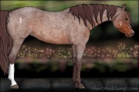 Horse Color:Chocolate Brown Roan 