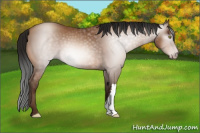 Horse Color:Gray Sable Champagne