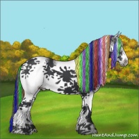 Horse Color:Painted White Spotted Black Frame Appaloosa 