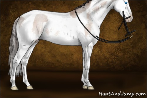 Horse Color:Sable Champagne Splash Tobiano Rabicano