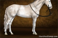 Horse Color:Chocolate Palomino Pearl Sabino Rabicano