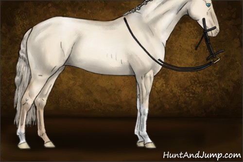 Horse Color:Chocolate Palomino Pearl Dun Sabino Tobiano Rabicano