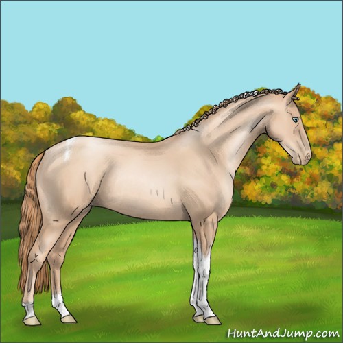 Horse Color:Gold Champagne Pearl Sabino Tobiano Rabicano 