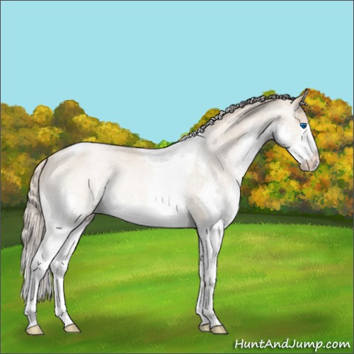 Horse Color:Chocolate Palomino Roan Pearl Splash Tobiano Rabicano 