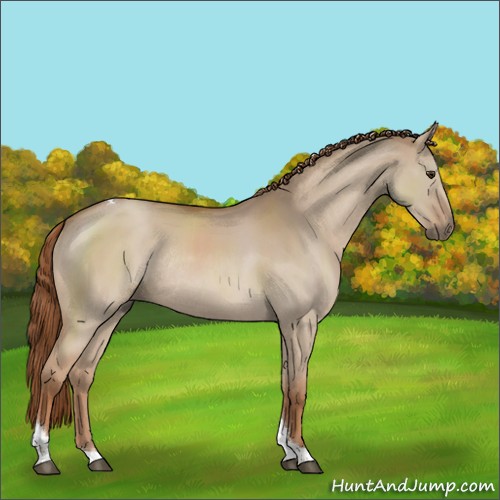 Horse Color:Red Dun Tobiano Rabicano