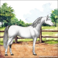Horse Color:Brown Dun Fewspot 