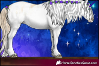 Horse Color:White Spotted Sable Cream Champagne Pearl Appaloosa 