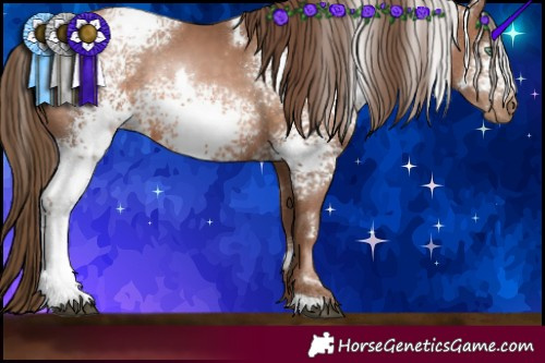 Horse Color:White Spotted Brown Pearl Rabicano 