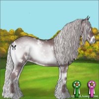 Horse Color:White Spotted Chocolate Silver Blue Onyx Chinchilla