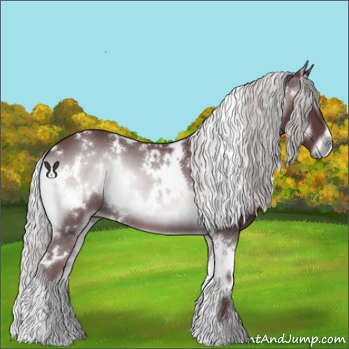 Horse Color:White Spotted Chocolate Silver Blue Onyx Chinchilla 