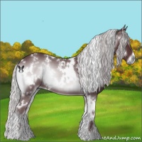 Horse Color:White Spotted Chocolate Silver Blue Onyx Chinchilla 