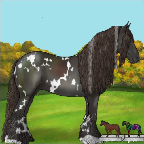 Horse Color:White Spotted Liver Chestnut 