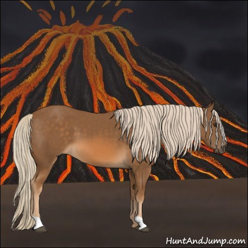 Horse Color:Chocolate Palomino 