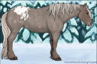 Horse Color:Silver Blue Roan Appaloosa 