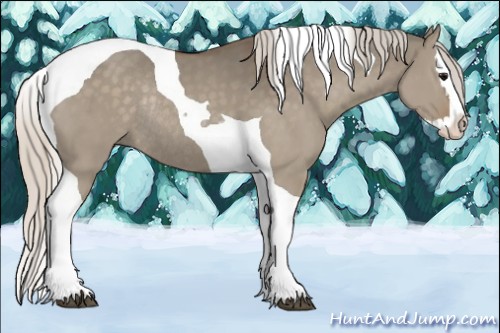 Horse Color:Silver Grullo Splash Tobiano Rabicano 