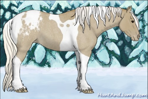 Horse Color:Silver Smoky Blue Roan Tobiano Varnish