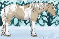 Horse Color:Silver Smoky Blue Roan Tobiano Appaloosa