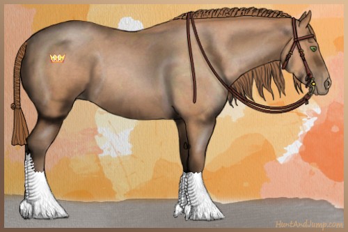 Horse Color:Bay Roan Pearl Sabino 