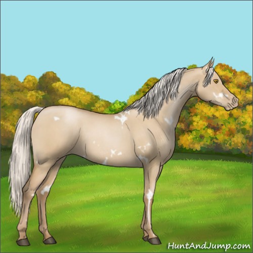 Horse Color:White Spotted Silver Grullo Roan Pearl 