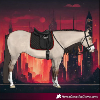 Horse Color:Amber Champagne Dun Sabino 