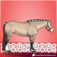 Horse Color:Bay Dun Sabino