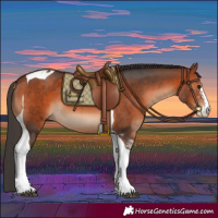 Horse Color:Bay Sabino Tobiano