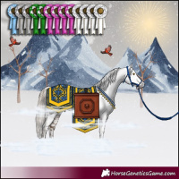 Horse Color:Gray Black Pearl Snowcap