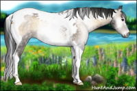 Horse Color:Gray Brown Onyx Tobiano Rabicano
