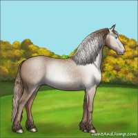 Horse Color:Gray Smoky Creme