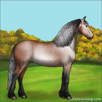 Horse Color:Gray Bay 