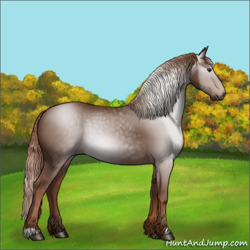 Horse Color:Gray Chestnut