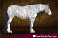 Horse Color:Smoky Grullo Roan Sabino 
