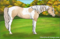 Horse Color:Gray Silver Classic Champagne Pearl Dun Tobiano 