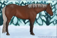 Horse Color:Silver Brown 