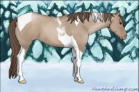 Horse Color:Grullo Pearl Tobiano