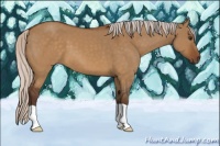 Horse Color:Silver Buckskin Dun