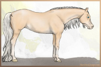 Horse Color:Silver Buckskin Pearl