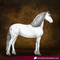 Horse Color:Black Sabino 