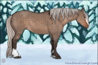 Horse Color:Silver Brown Dun Mushroom Sabino 