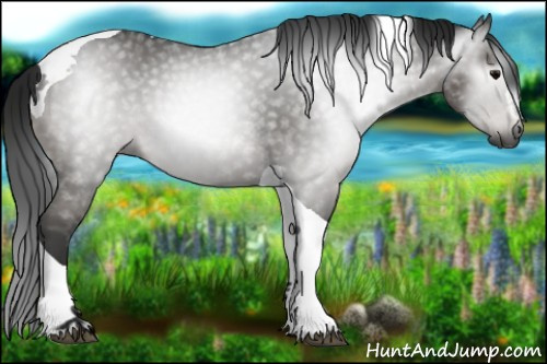 Horse Color:Gray Black Sabino Tobiano 