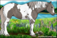 Horse Color:Silver Black Tobiano