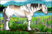 Horse Color:Gray White Spotted Liver Red Onyx 