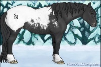 Horse Color:Platinum Black Snowcap Rabicano 