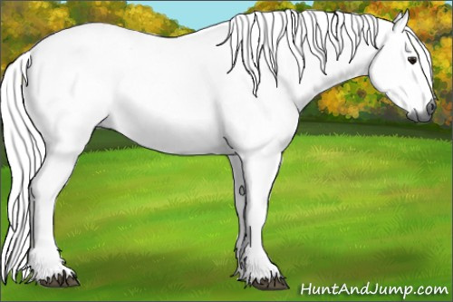 Horse Color:Gray Chocolate Silver Bay Roan 