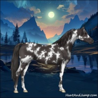 Horse Color:White Spotted Smoky Black