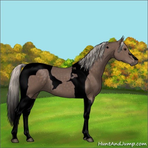 Horse Color:Void Silver Black Tobiano