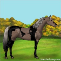 Horse Color:Void Silver Black Tobiano 