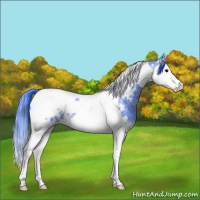 Horse Color:Watercolor Black Ice Splash Tobiano Appaloosa
