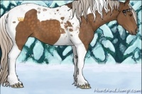 Horse Color:Silver Buckskin Tobiano 