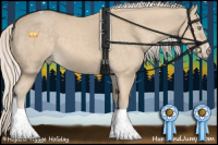 Horse Color:Cremello Tobiano 